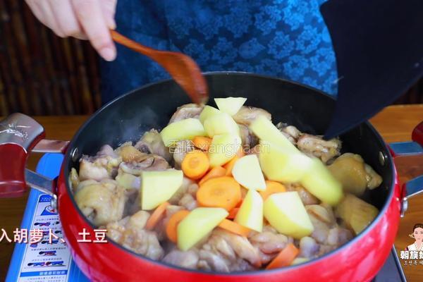 营养又简单的韩式安东炖鸡，绝对的下饭利器的做法图解20