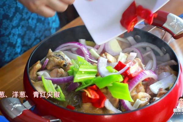 营养又简单的韩式安东炖鸡，绝对的下饭利器的做法图解26