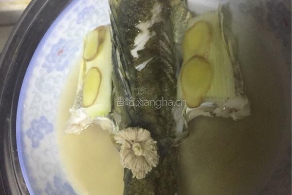 家常清蒸鳜鱼的做法图解4