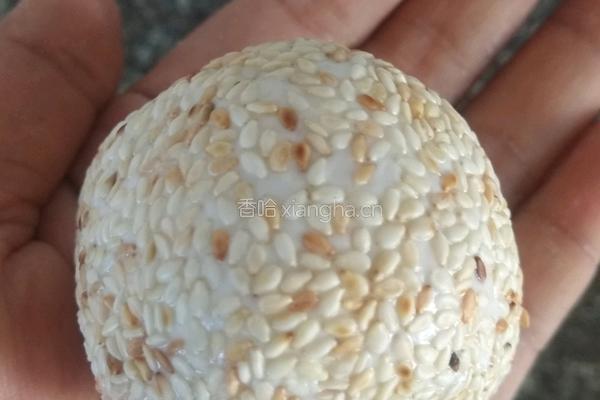 空心大麻团的做法图解12