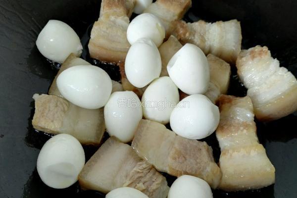 鹌鹑蛋烧肉的做法图解7