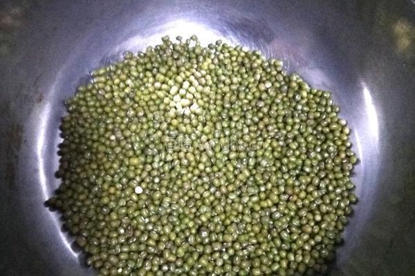 发绿豆芽的做法图解1