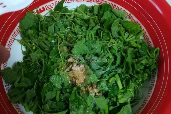 蒸南瓜头的做法图解3