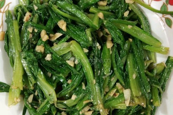 蒜蓉油麦菜的做法图解4