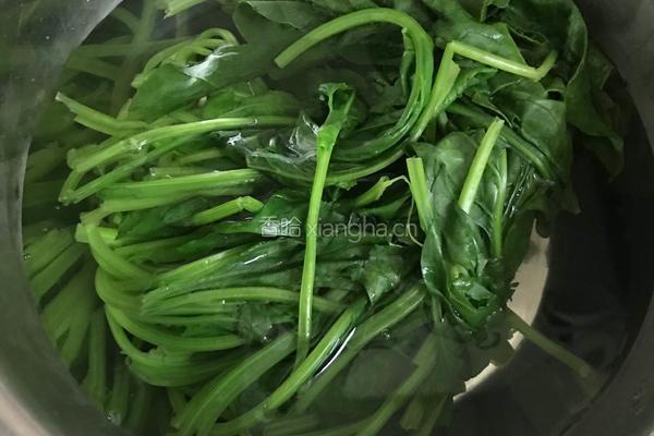 芥末拌菠菜粉丝花生 的做法图解10