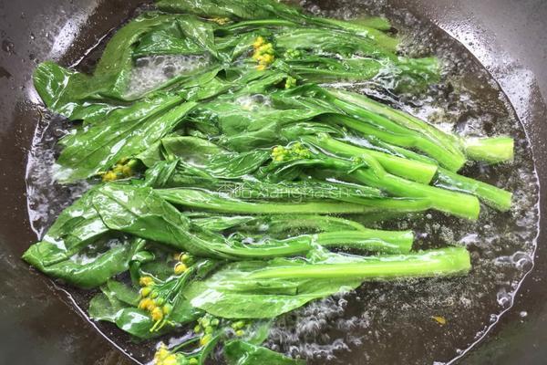 盐水菜心的做法图解6
