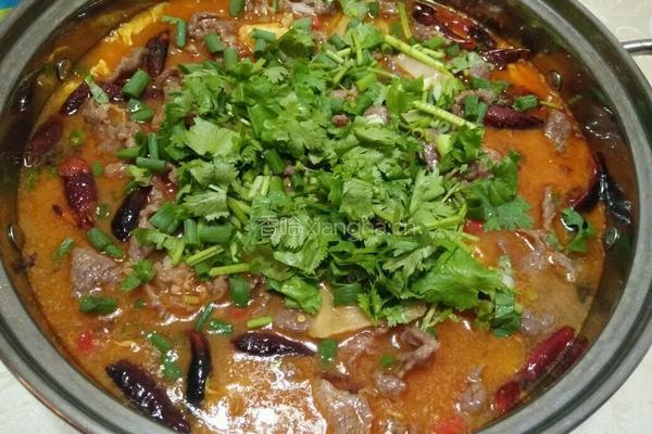 水煮牛肉的做法图解11