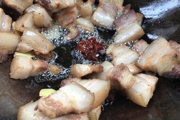 红烧肉（还是老家的味道最好吃）的做法图解14