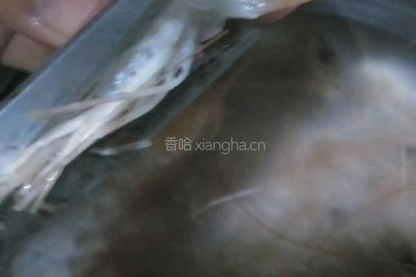 蒜蓉粉丝开边虾的做法图解3