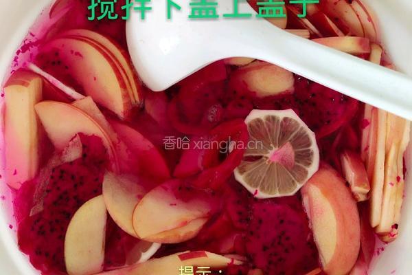 自酿火龙果酵素的做法图解5