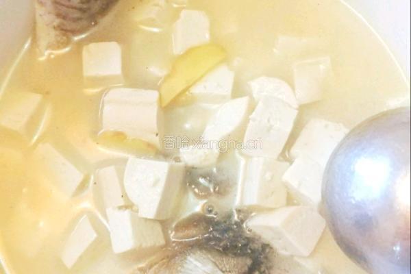 鲫鱼豆腐汤的做法图解3