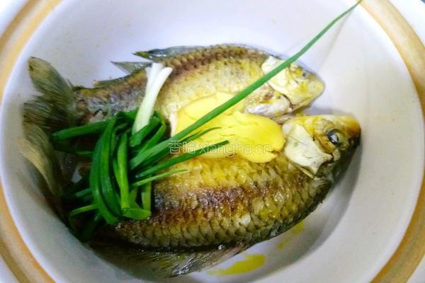 鲫鱼豆腐汤的做法图解4
