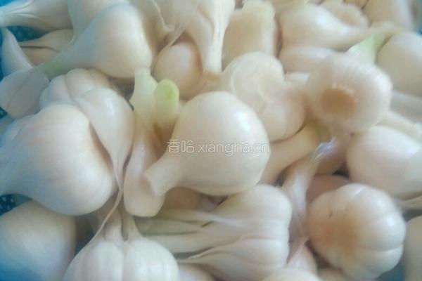 东北腌糖蒜的做法图解1