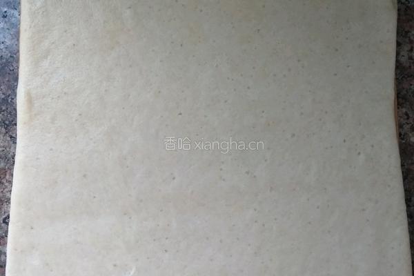 千层烤饼（发面）的做法图解21