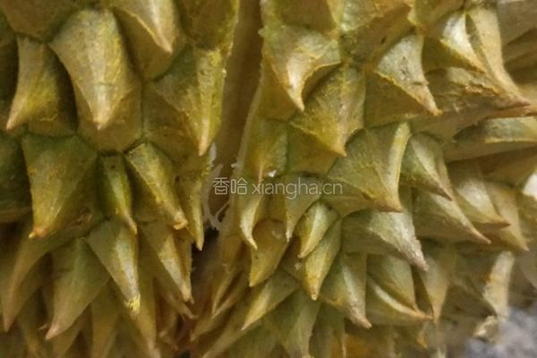榴莲鸡汤的做法图解1