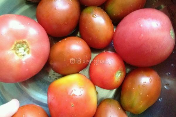自制西红柿酱的做法图解1
