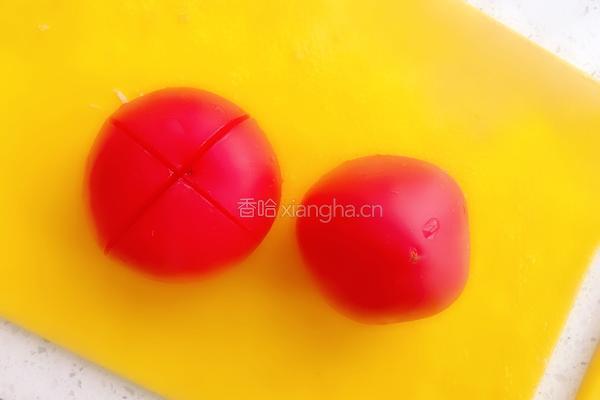 西红柿炖牛肉的做法图解8