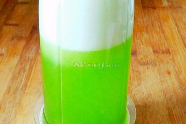 蜂蜜苦瓜冰棍的做法图解7
