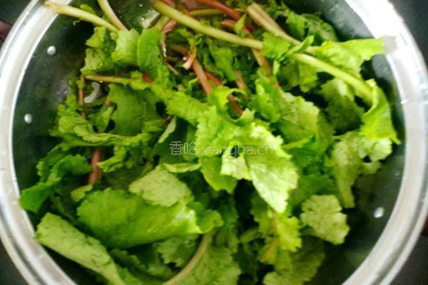 萝卜缨猪肉馅包子的做法图解2