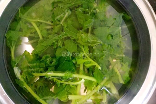 萝卜缨猪肉馅包子的做法图解5