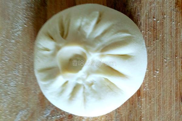 萝卜缨猪肉馅包子的做法图解23
