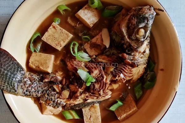 冻豆腐炖罗非鱼的做法图解8