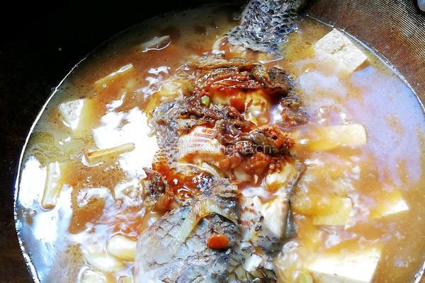 冻豆腐炖罗非鱼的做法图解7