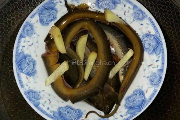 清蒸野生黄鳝泥鳅的做法图解4