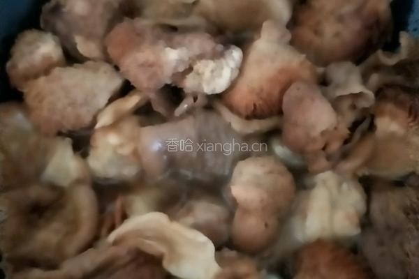 蘑菇炖鸡膀根的做法图解9