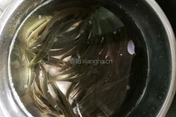干煸糟菜泥鳅的做法图解1