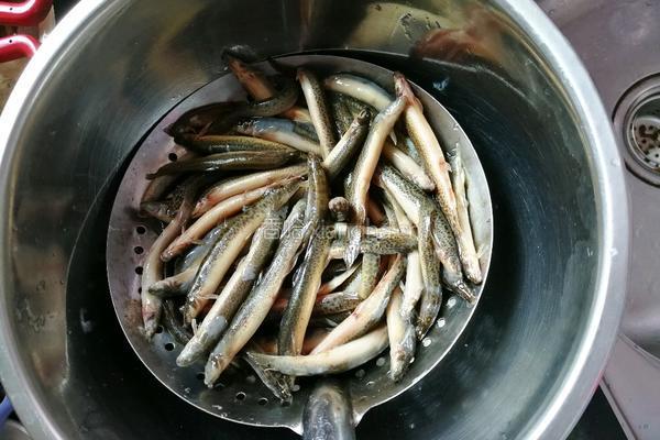干煸糟菜泥鳅的做法图解2