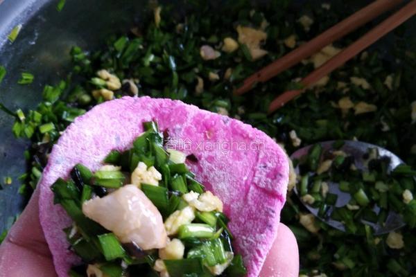 火龙果水饺的做法图解3