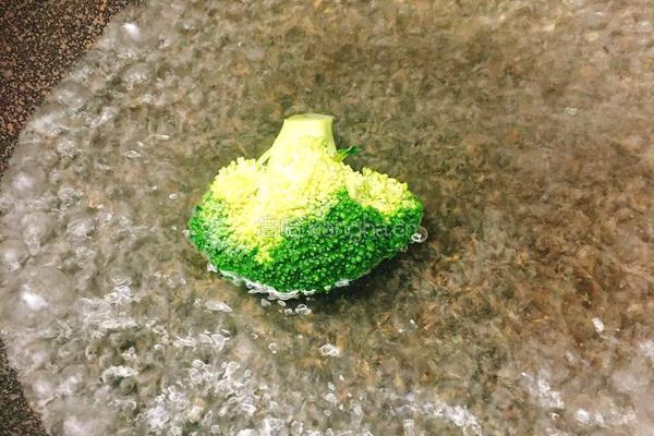 西兰花厚蛋烧的做法图解4