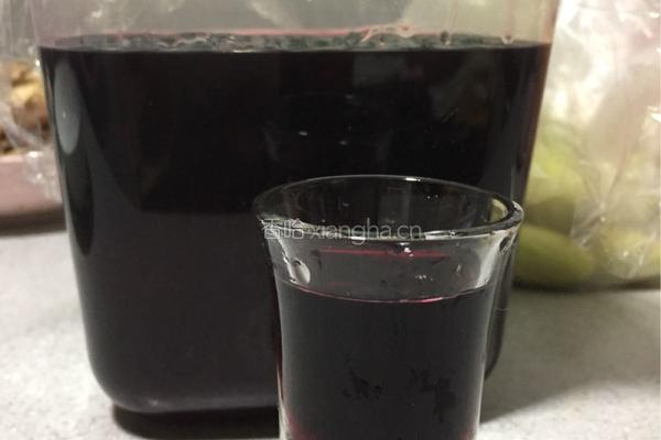 蓝莓酒的做法图解4