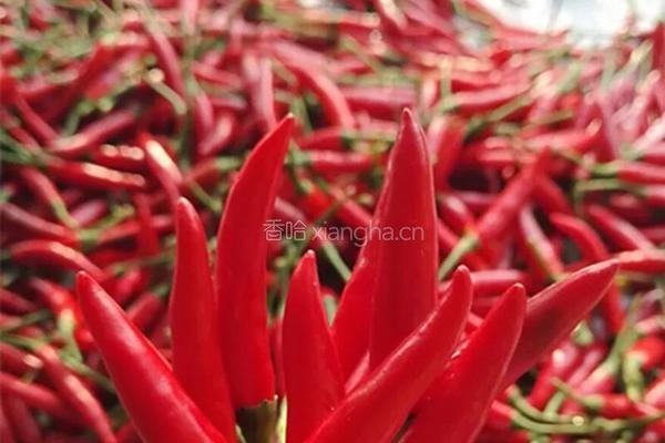 腊肉炒蕨粑的做法图解4
