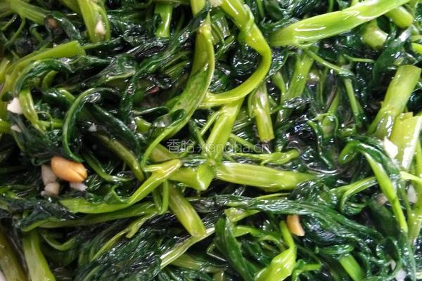 普宁豆酱炒空心菜的做法图解5