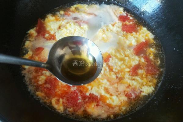 西红柿蛋汤的做法图解8