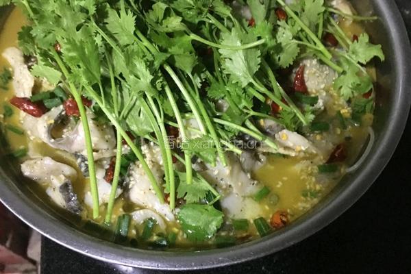 家常酸菜鱼的做法图解11