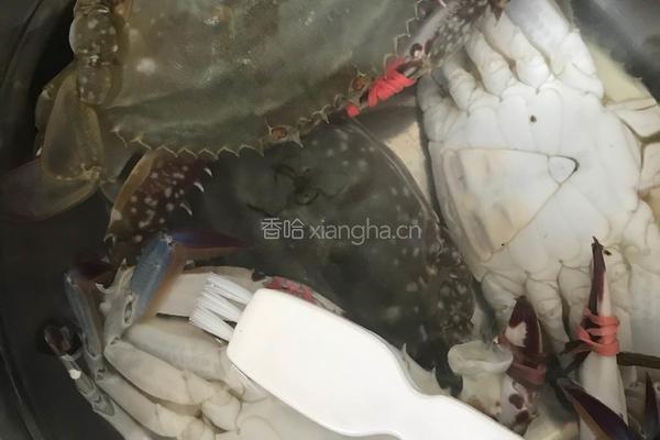 清蒸飞蟹的做法图解2