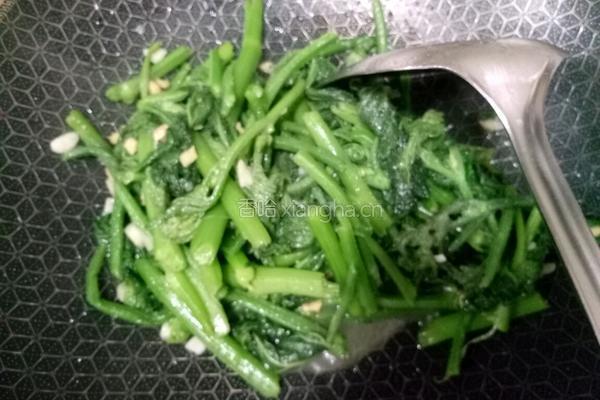 清炒南瓜尖的做法图解8