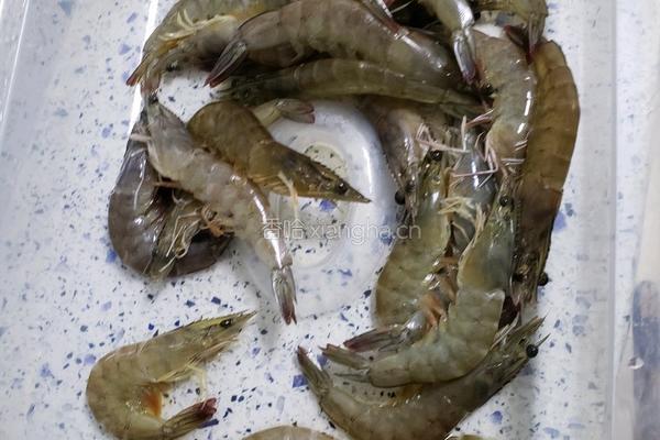 蚝油黄焖大虾的做法图解1