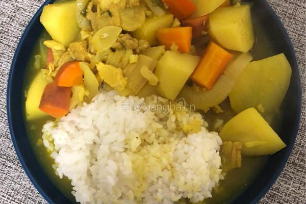 土豆鸡肉咖喱的做法图解10