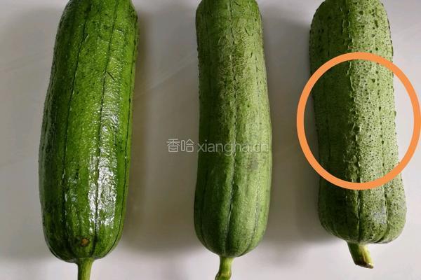 干贝烧丝瓜的做法图解2