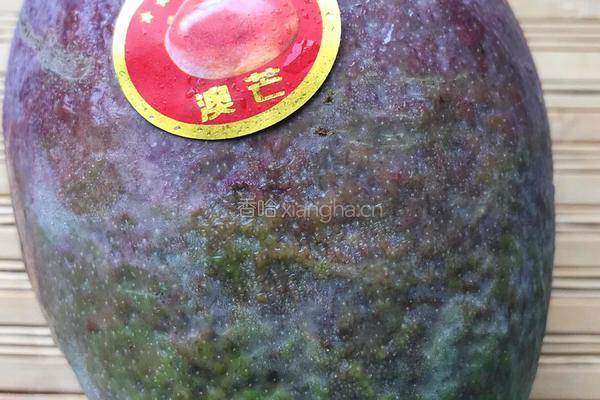 椰香酸甜青芒果的做法图解2