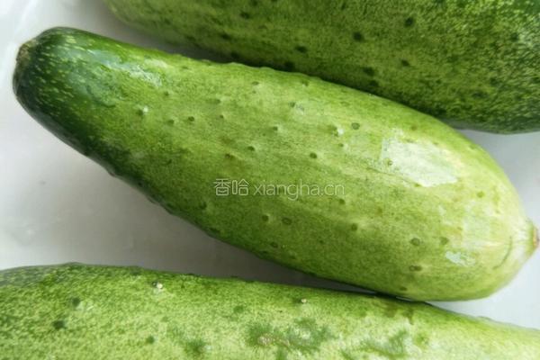 早餐1 蔬菜燕麦小米粥的做法图解16