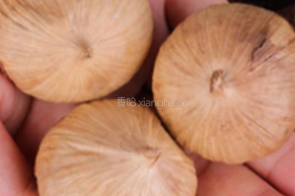 黑蒜香菇番茄面的做法图解5