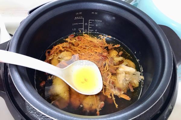 虫草花鸡汤的做法图解5