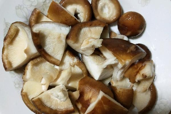 啤酒炖鸡腿的做法图解5