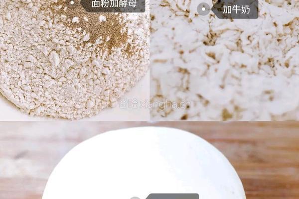 蜂蜜奶香紫薯饼的做法图解1