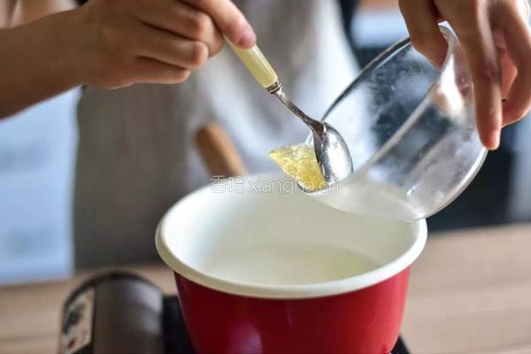 美容养颜下午茶—木瓜椰奶冻的做法图解4